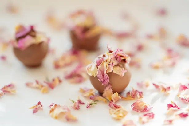 Feber Slots Kasino Android/iOS App